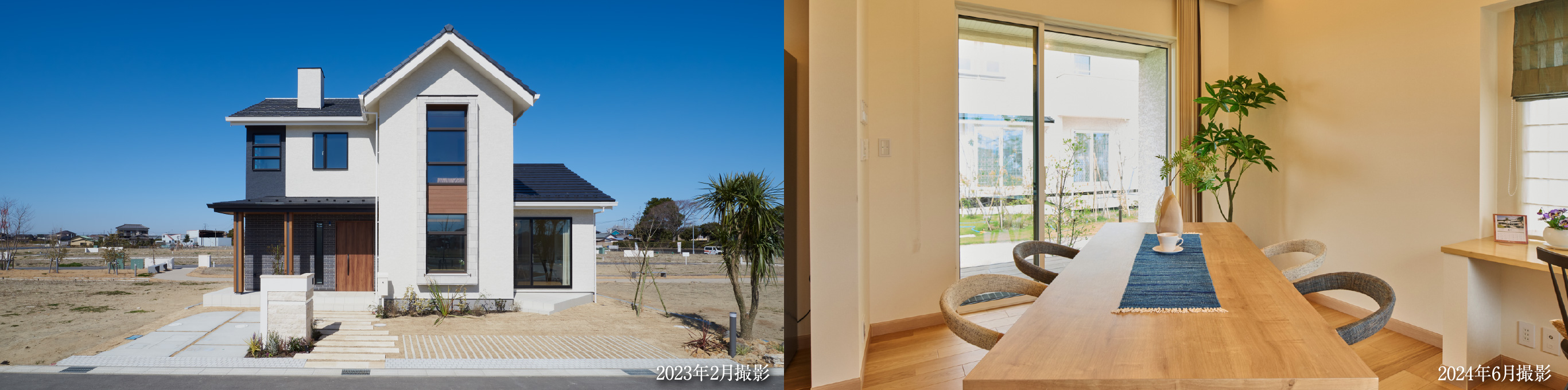 左右画像ともに2024年6月撮影